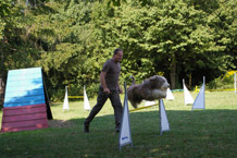 Hundeerziehung Heidenrod