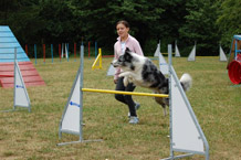 Hundeschule Wiesbaden