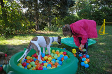 Welpenspielstunde